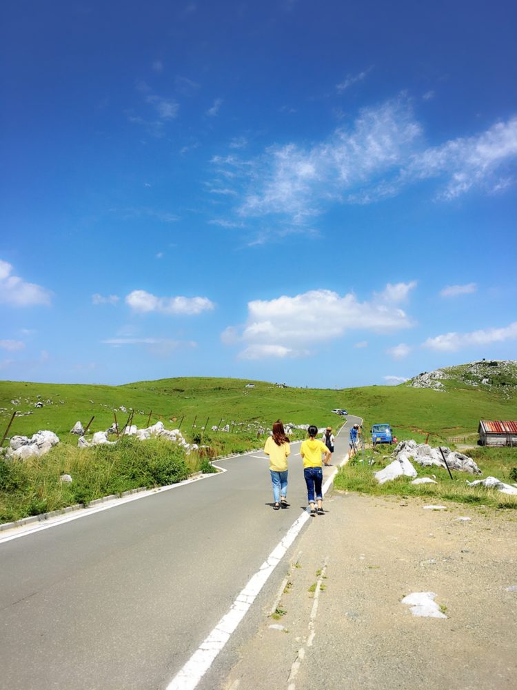 行ってみてよかった高知県のインスタ映えする観光地！！【夏】