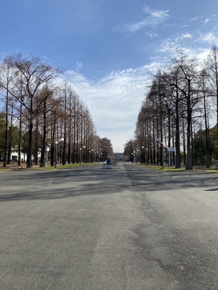 【大阪】愛犬との優雅なお散歩ができる大型都市公園「花博記念公園・鶴見緑地」