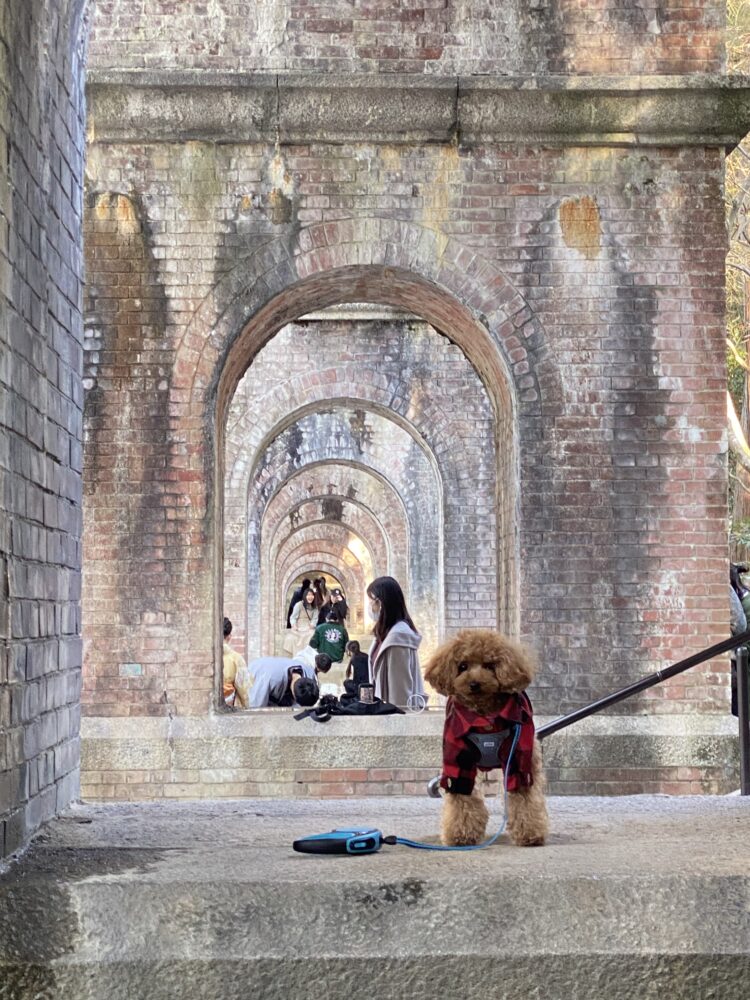 【京都】四季折々が楽しめる南禅寺に愛犬と散策！美しすぎるレトロな雰囲気の不思議な空間