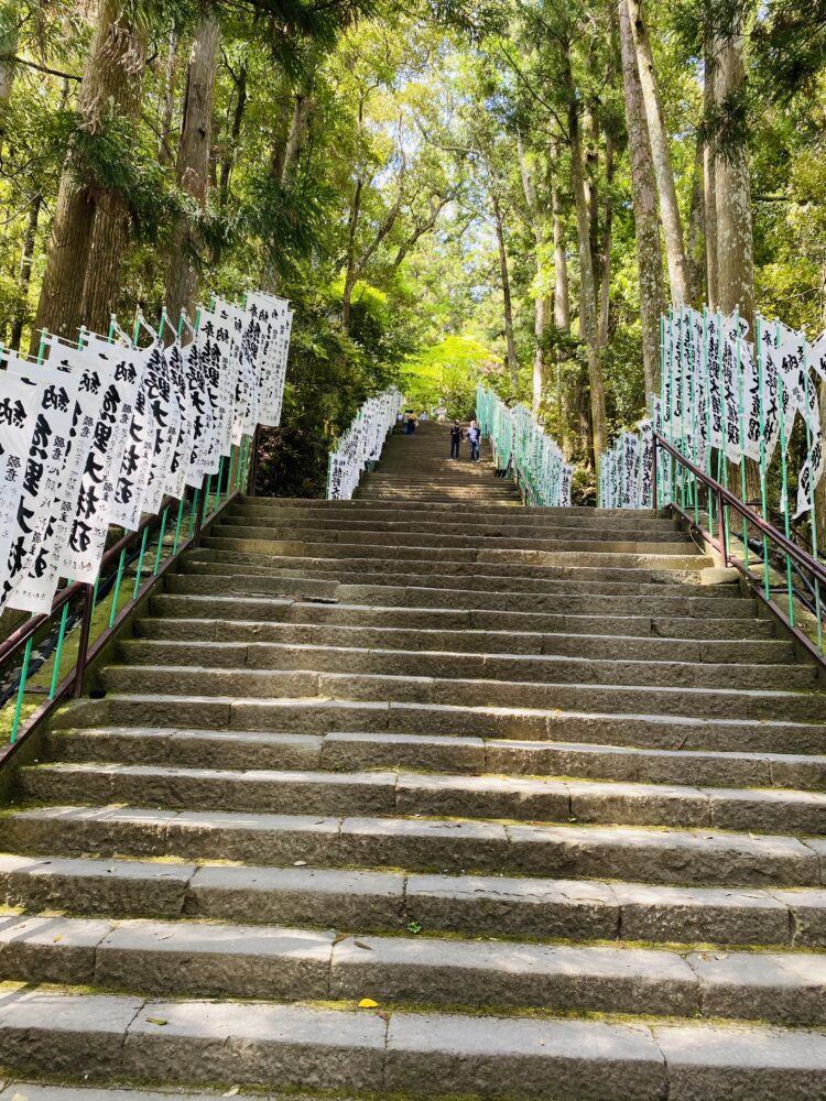 【和歌山】大自然の中の蘇りの聖なる地・熊野本宮大社へ愛犬と参拝｜愛犬連れでない方も必見！！