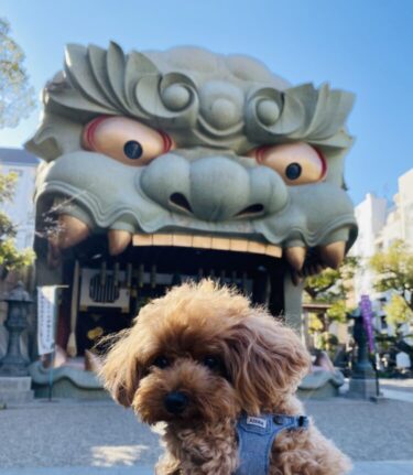 【大阪】愛犬と一緒におもしろ観光スポットを楽しもう！かくれたパワースポット難波八阪神社